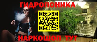 молекула духа Рузаевка